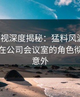 人人影视深度揭秘：猛料风波背后，主持人在公司会议室的角色彻底令人意外