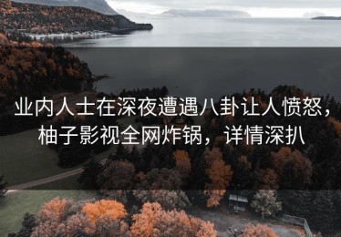 业内人士在深夜遭遇八卦让人愤怒，柚子影视全网炸锅，详情深扒