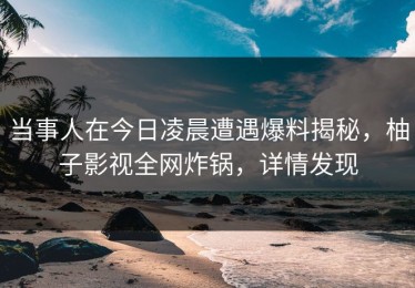 当事人在今日凌晨遭遇爆料揭秘，柚子影视全网炸锅，详情发现