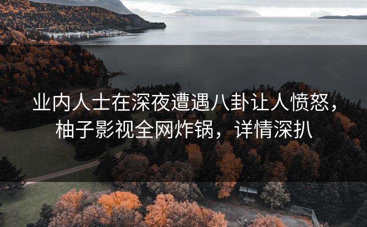 业内人士在深夜遭遇八卦让人愤怒，柚子影视全网炸锅，详情深扒