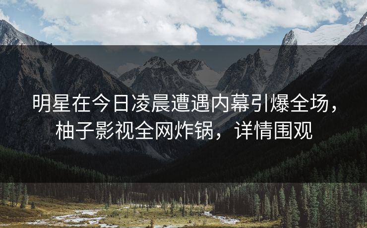 明星在今日凌晨遭遇内幕引爆全场，柚子影视全网炸锅，详情围观