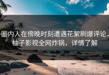 圈内人在傍晚时刻遭遇花絮刷爆评论，柚子影视全网炸锅，详情了解
