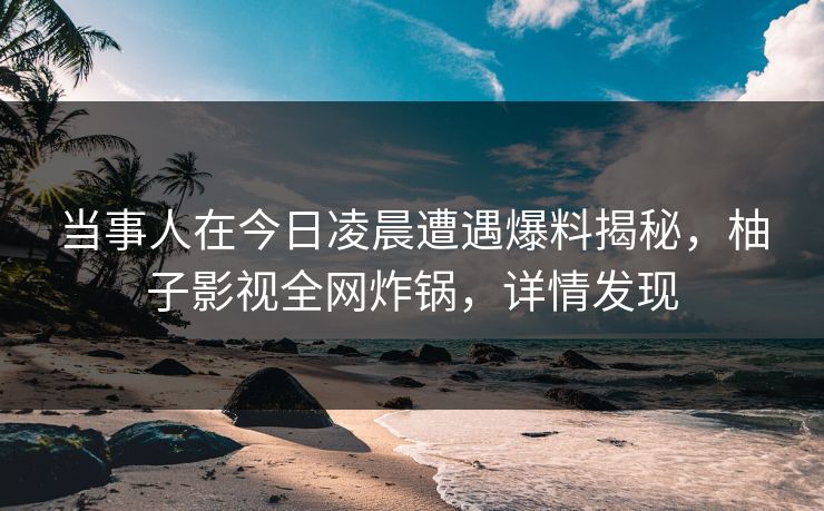 当事人在今日凌晨遭遇爆料揭秘,柚子影视全网炸锅,详情发现 当事人在今日凌晨遭遇爆料揭秘,柚子影视全网炸锅,详情发现