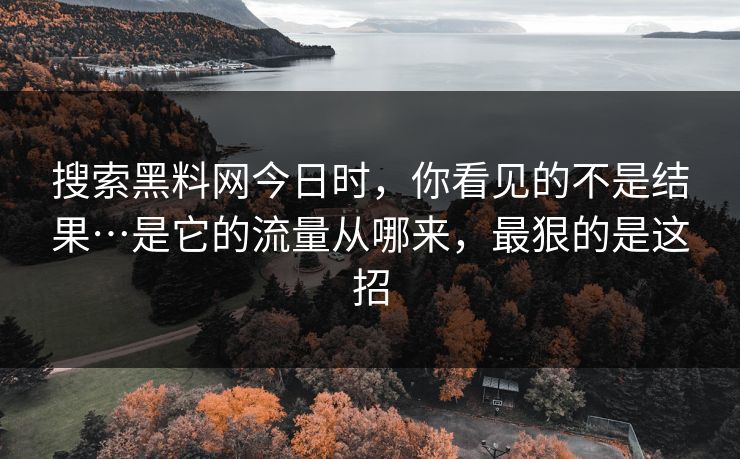 搜索黑料网今日时，你看见的不是结果…是它的流量从哪来，最狠的是这招
